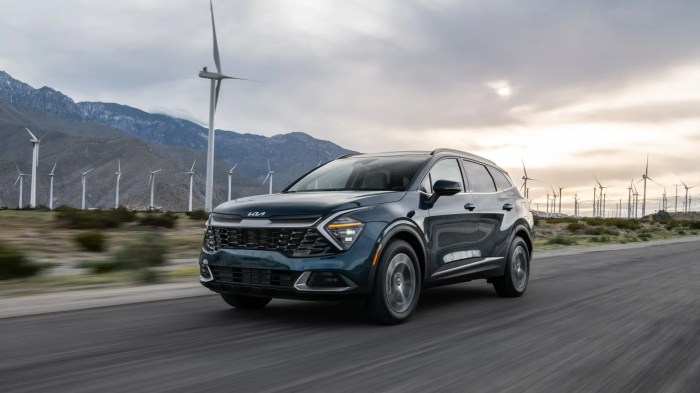 10 Hybrid Cars That Are Affordable And Eco-Friendly